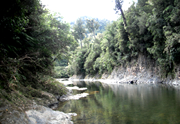 Motu River