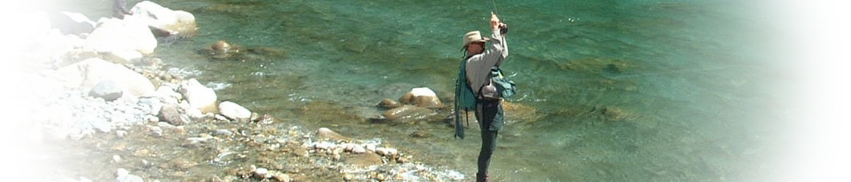Fly Fisherman
